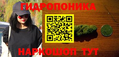 гидра Заволжье