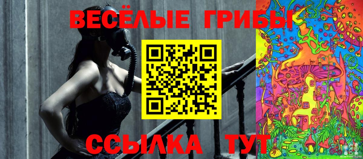 Псилоцибиновые грибы GOLDEN TEACHER Менделеевск