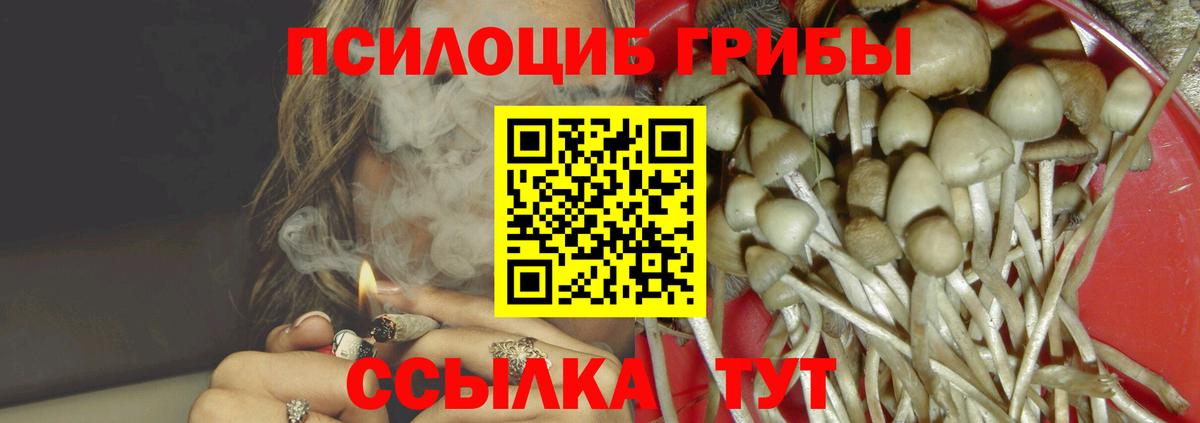 Галлюциногенные грибы прущие грибы  Галлюциногенные грибы ЛСД  Вход с VPN  Менделеевск 